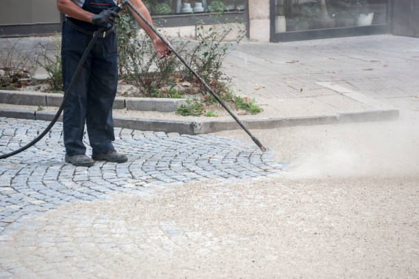 Best Pre-Holiday Cleaning  in Union, NJ